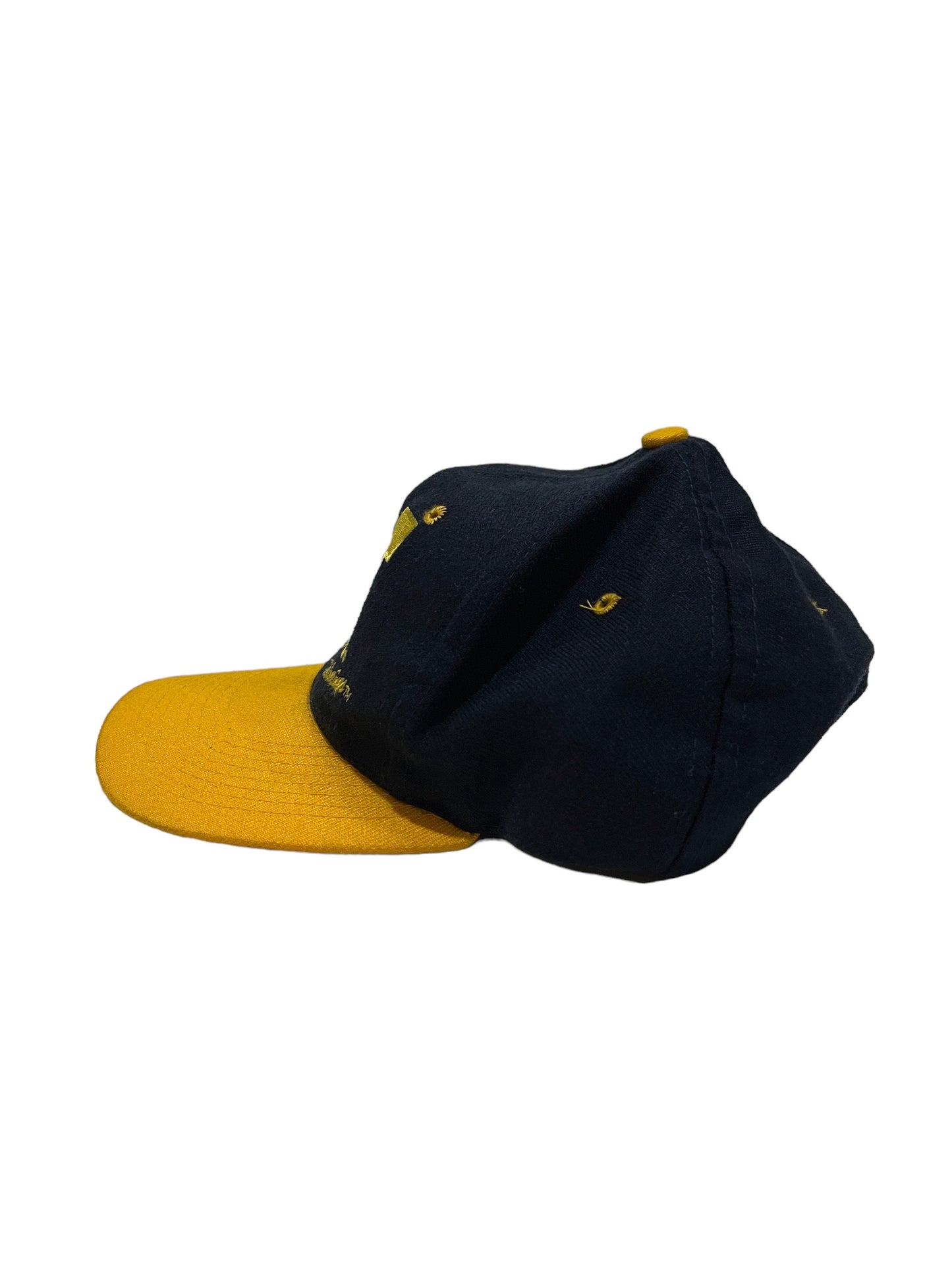 Vintage Michigan Wolverines Snapback